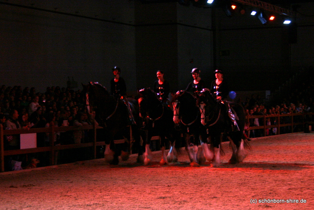 Shire Horses - Tsunami